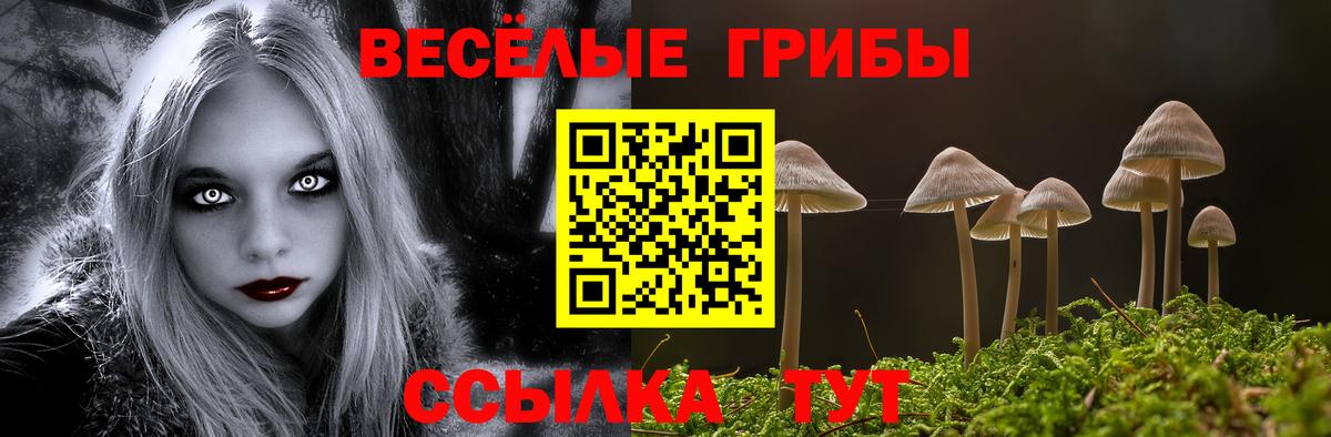 Псков  Галлюциногенные грибы Cubensis  где продают наркотики  Вход с VPN 